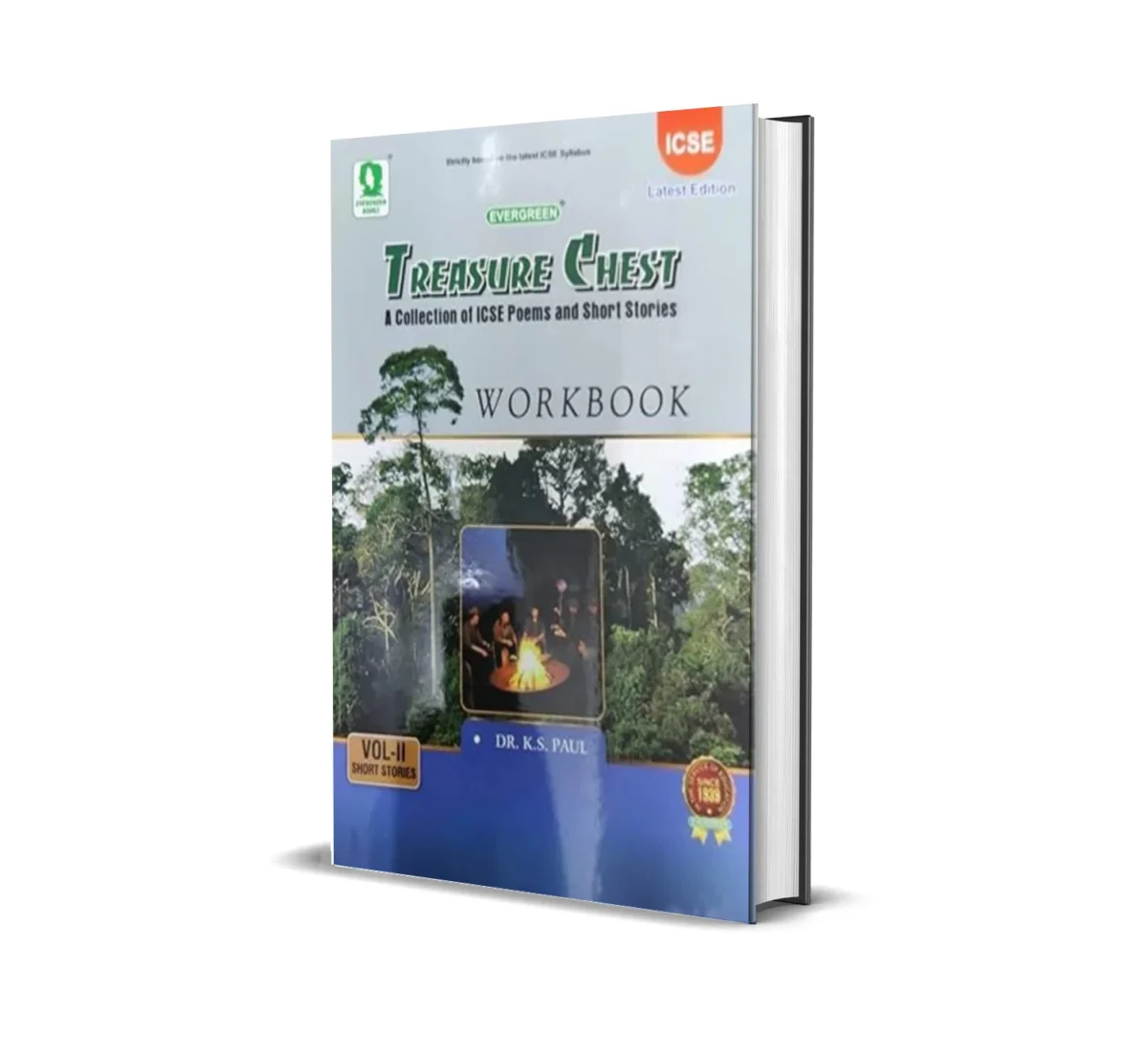 ICSE Treasure Chest Volume : 2 Workbook ( Evergreen ) PDF